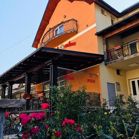 Pensiunea Montana Borșa MM Băile Borşa Exterior foto