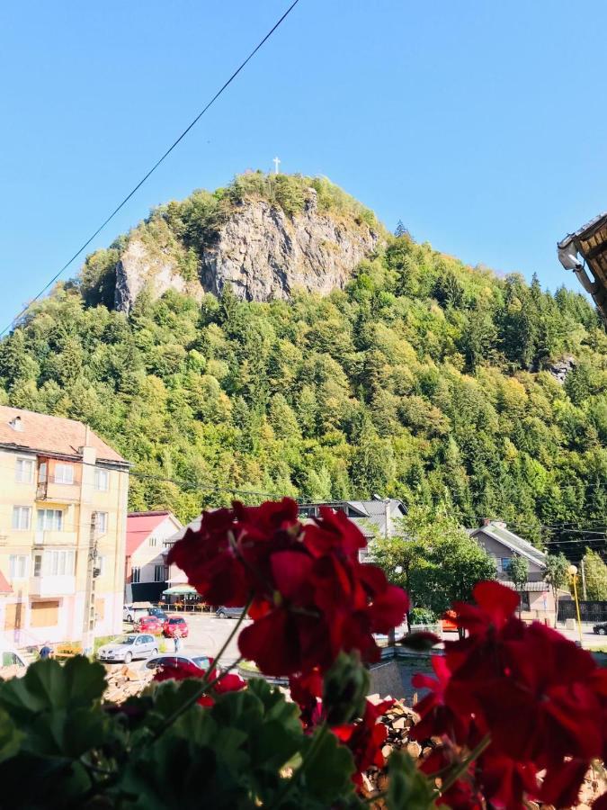 Pensiunea Montana Borșa MM Băile Borşa Exterior foto