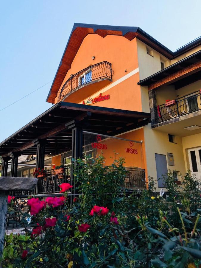 Pensiunea Montana Borșa MM Băile Borşa Exterior foto
